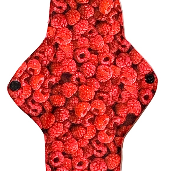 Six Heavy Plus Menstrual Pads in Fruits Ptint, Made in Canada Cloth Pad Set. - Picture 2 of 8